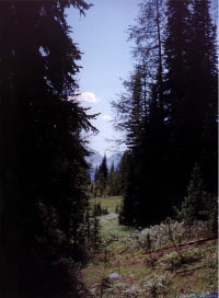 monica meadows, British Columbia
